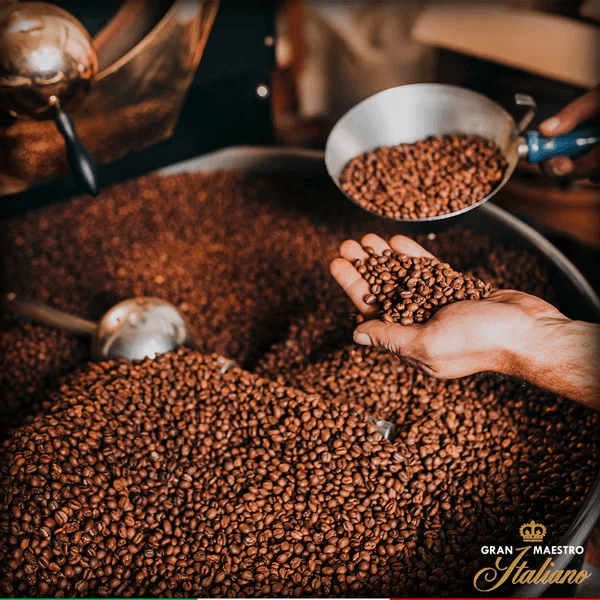 Torréfaction des grains de café Gran Maestro Italiano
