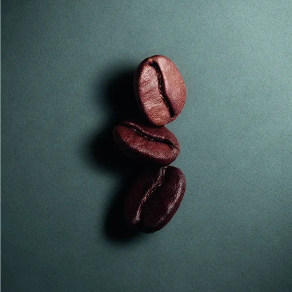Illy bean gray background