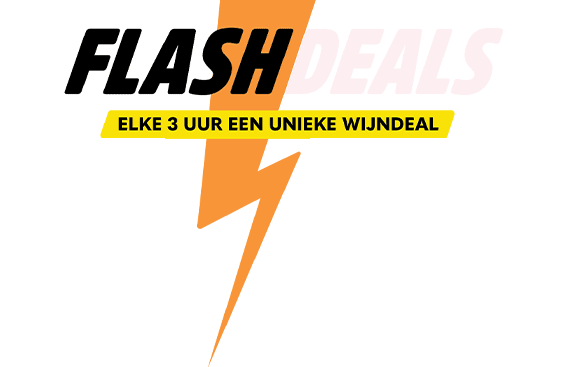 Flash deal logo web short gif