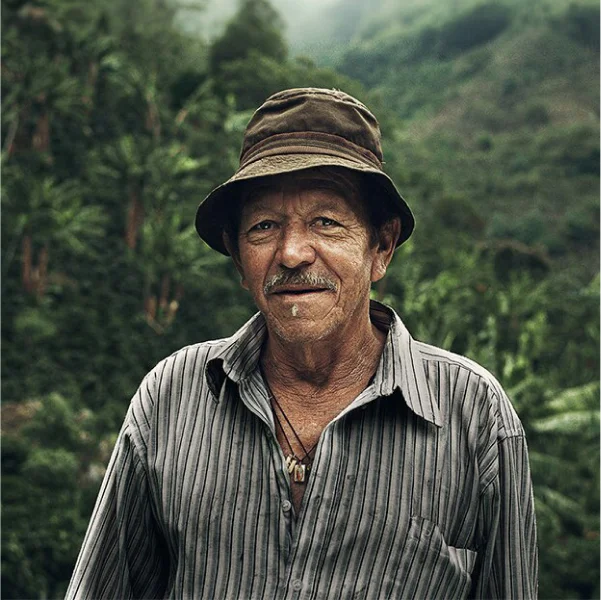 Illy man forest